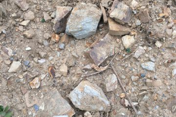 Rocks scattered in Muscadet