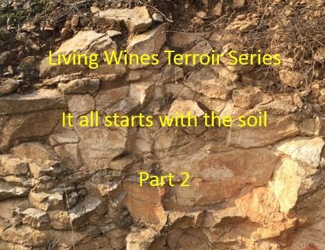 It all starts with the soil Part 2