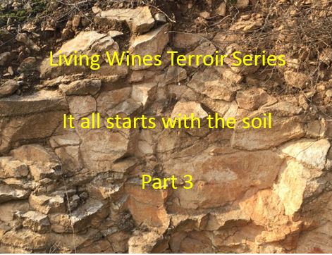 It all starts with the soil Part 3